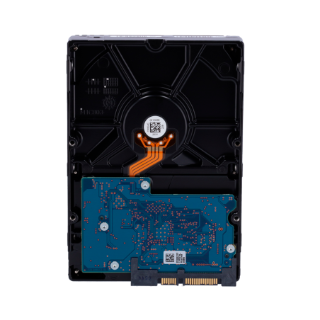 10XHD10TB - Pack di dischi duri - 10 unità - Western Digital - WD100PURX-78 - 10 TB di immagazzinamento - Speciale per TVCC