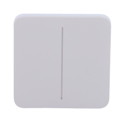 AJ-SOLOBUTTON-2G-FOG - Pannello tattile per doppio interruttore della luce - Compatibilità con AJ-LIGHTCORE-2G - Retroilluminazi