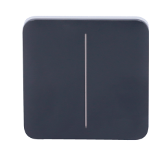 AJ-SOLOBUTTON-2G-GRA - Pannello tattile per doppio interruttore della luce - Compatibilità con AJ-LIGHTCORE-2G - Retroilluminazi