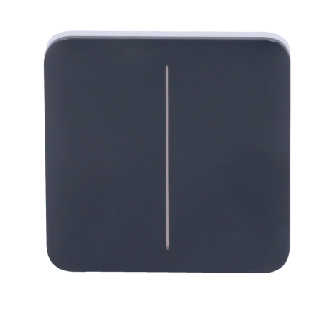 AJ-SOLOBUTTON-2G-GRA - Pannello tattile per doppio interruttore della luce - Compatibilità con AJ-LIGHTCORE-2G - Retroilluminazi