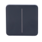 AJ-SOLOBUTTON-2G-GRA - Pannello tattile per doppio interruttore della luce - Compatibilità con AJ-LIGHTCORE-2G - Retroilluminazi