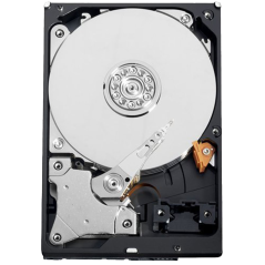 HD1TB - Hard Disk - Capacità 1 TB - Interfaccia SATA 6 GB/s - Modello WD10PURX - Speciale per Videoregistratori - Da solo o inst