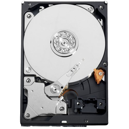 HD1TB - Hard Disk - Capacità 1 TB - Interfaccia SATA 6 GB/s - Modello WD10PURX - Speciale per Videoregistratori - Da solo o inst