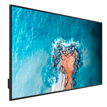 HIS-65DM66D - Monitor HISENSE DLED 4K 65" | Serie DM - Risoluzione 3840x2160 - 2 ingressi HDMI 2.0 - Utilizzo intenso 24/7 - Alt