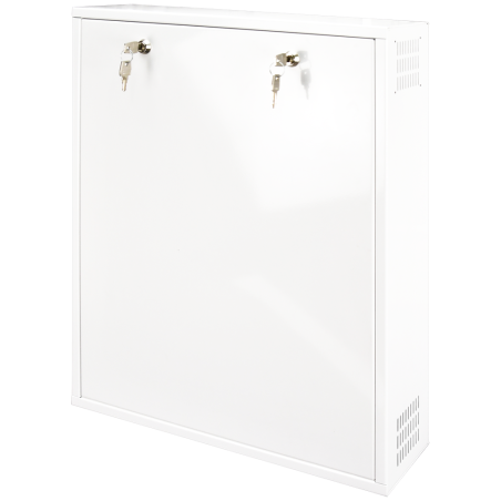 RACK-DVRBOX-MVERTICAL - Box di sicurezza - Speciale per installazione a parete - Formato verticale - 2 chiavi e serrature - Ingr