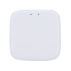 ZK-GTSLG200 - Connessione WiFi per serratura intelligente - Bluetooth | Controllo vocale - Apertura e chiusura da remoto dall'ap