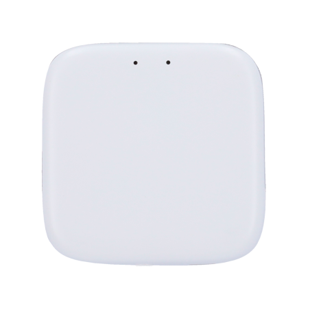 ZK-GTSLG200 - Connessione WiFi per serratura intelligente - Bluetooth | Controllo vocale - Apertura e chiusura da remoto dall'ap