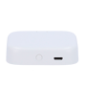 ZK-GTSLG200 - Connessione WiFi per serratura intelligente - Bluetooth | Controllo vocale - Apertura e chiusura da remoto dall'ap ZK-GTSLG200 - Connessione WiFi per serratura intelligente - Bluetooth | Controllo vocale - Apertura e chiusura da remoto dall'ap