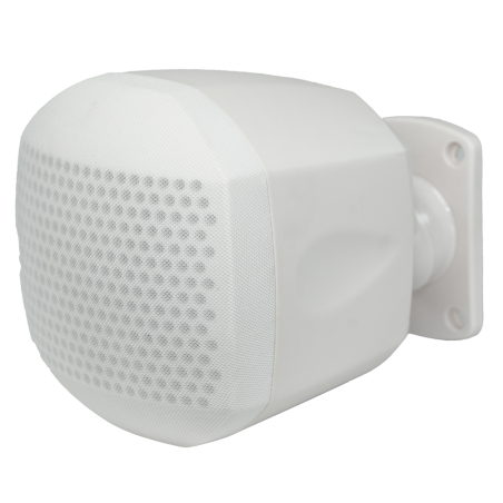 DSPPA-DSP129W - Altoparlante da soffitto - Altoparlante a gamma completa 4" - Potenza 70V / 100V - Sensibilità 83dB - Intervallo