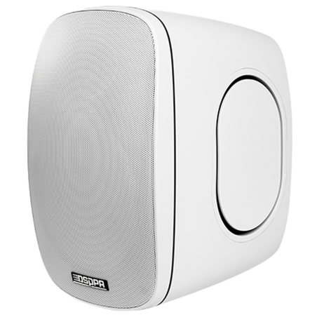 DSPPA-DSP6050W - Altoparlante da soffitto - Altoparlante a gamma completa 1x6.5" + 1x1" - Potenza 70V / 100V - Sensibilità 87dB