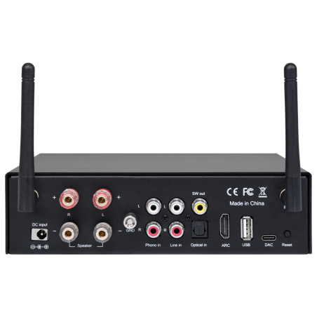 DSPPA-MINI502 - Amplificatore audio - 2 x 50W - Doppia connessione Bluetooth - Riproduzione USB - Impostazioni per l'equalizzazi