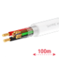 CA6P2-100-H-Cca-WHITE -