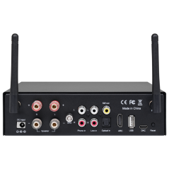 DSPPA-MINI502 - Amplificatore audio - 2 x 50W - Doppia connessione Bluetooth - Riproduzione USB - Impostazioni per l'equalizzazi
