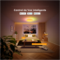 GV-CEILING-H60A6-15IN-ROUND - Plafoniera rotonda Govee da 38cm a doppio LED - Wi-Fi 2.4 GHz + Bluetooth - Colore segmentato + Bi