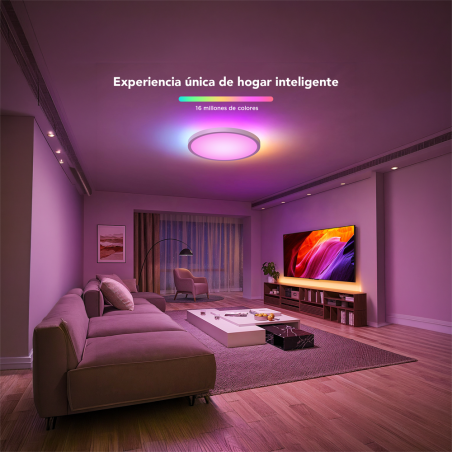 GV-CEILING-H80A1-12IN-ROUND - Plafoniera rotonda Govee a doppio LED - Wi-Fi 2.4 GHz + Bluetooth - Colore segmentato + Bianco cal