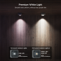 GV-OUT-H705E-30M-PERMANENT2 - Govee Luci da esterno fisse 2 - Wi-Fi 2.4 GHz + Bluetooth - Colore segmentato + Bianco - 40 lumen/
