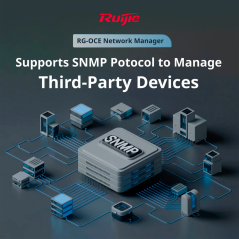 RG-OCE-NETWORK-BASE - Ruijie Cloud On-Permise - Installazione di OCE-Network - Fino a 10 dispositivi
