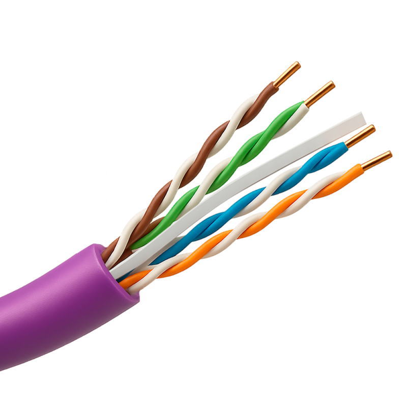 UTP6-305-BC-H-Dca-PURPLE - Cavo rigido UTP rigido senza alogeni - Categoria 6 - Soddisfa il test Fluke 90m - Conduttore OFC, pur