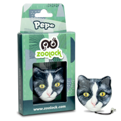 AN2/CAT/PEPE - RADIOCOMANDO BI-CODE A 2 CANALI 433,92 MHZ CON FUNZIONE COPIA