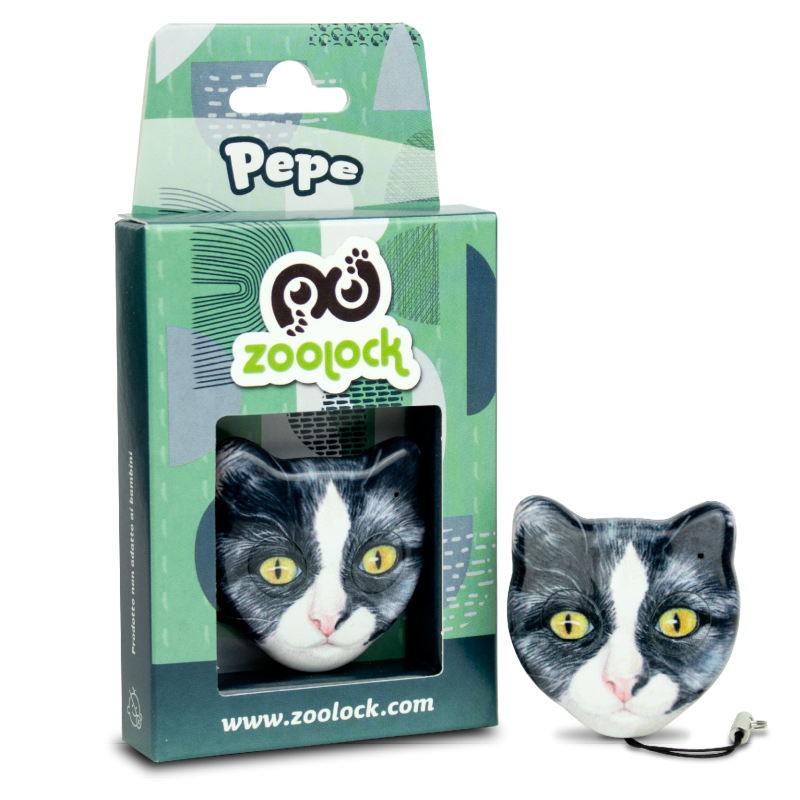 AN2/CAT/PEPE - RADIOCOMANDO BI-CODE A 2 CANALI 433,92 MHZ CON FUNZIONE COPIA