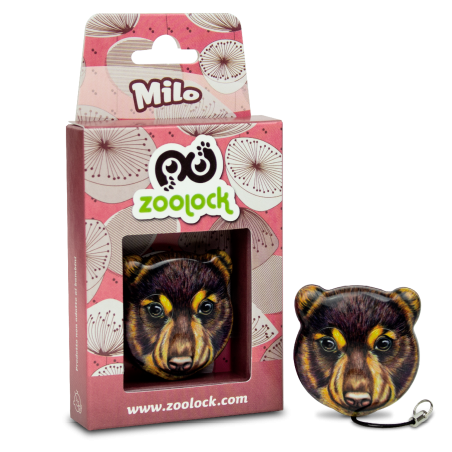 AN2/BEAR/MILO - RADIOCOMANDO BI-CODE A 2 CANALI 433,92 MHZ CON FUNZIONE COPIA