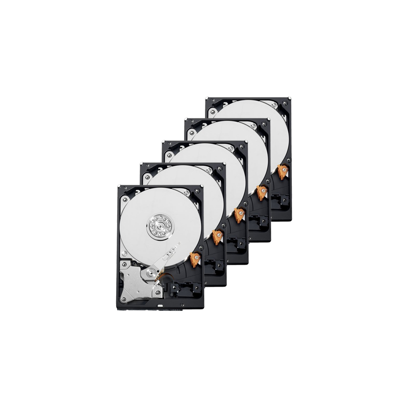 10XHD6TB-S - Pack di dischi duri - 10 unità - Seagate - ST6000VX001 - 6 TB di immagazzinamento - Speciale per TVCC 10XHD6TB-S - Pack di dischi duri - 10 unità - Seagate - ST6000VX001 - 6 TB di immagazzinamento - Speciale per TVCC
