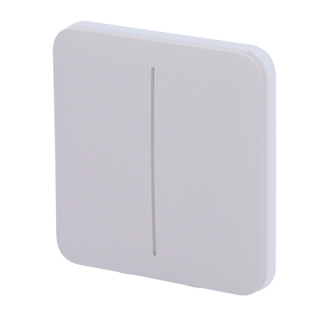 AJ-SOLOBUTTON-2G-FOG - Pannello tattile per doppio interruttore della luce - Compatibilità con AJ-LIGHTCORE-2G - Retroilluminazi