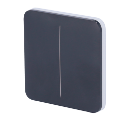 AJ-SOLOBUTTON-2G-GRA - Pannello tattile per doppio interruttore della luce - Compatibilità con AJ-LIGHTCORE-2G - Retroilluminazi