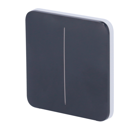 AJ-SOLOBUTTON-2G-GRA - Pannello tattile per doppio interruttore della luce - Compatibilità con AJ-LIGHTCORE-2G - Retroilluminazi
