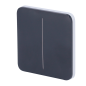 AJ-SOLOBUTTON-2G-GRA - Pannello tattile per doppio interruttore della luce - Compatibilità con AJ-LIGHTCORE-2G - Retroilluminazi