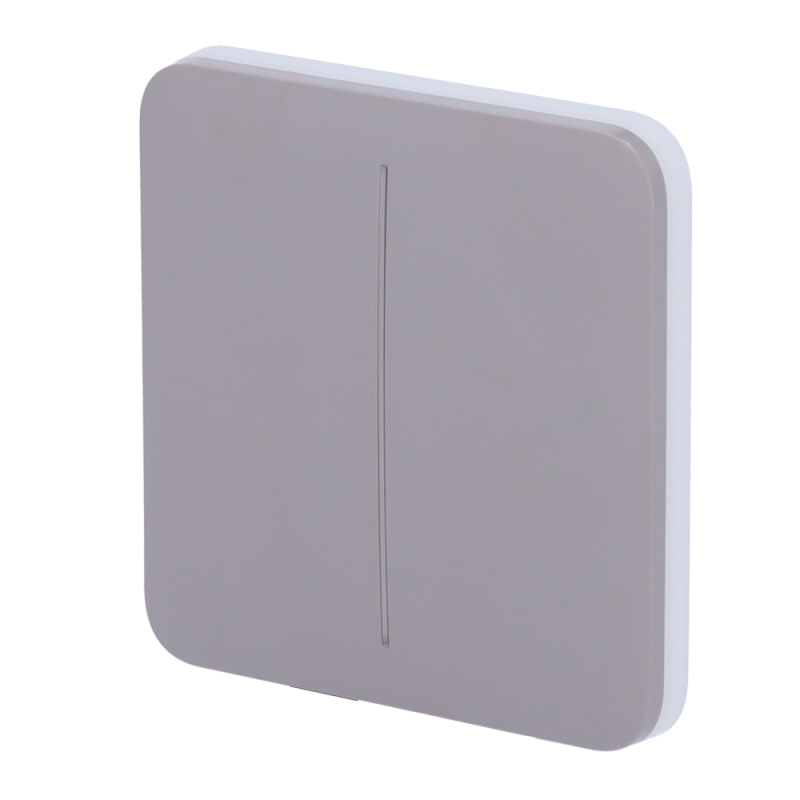 AJ-SOLOBUTTON-2G-GRE - Pannello tattile per doppio interruttore della luce - Compatibilità con AJ-LIGHTCORE-2G - Retroilluminazi AJ-SOLOBUTTON-2G-GRE - Pannello tattile per doppio interruttore della luce - Compatibilità con AJ-LIGHTCORE-2G - Retroilluminazi