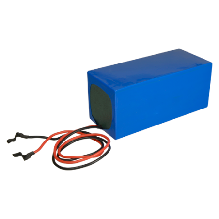 BAT12100-LIFEPO4 - Batteria ricaricabile - Tecnologia Litio LiFePO4 - Voltaggio 12 V - Capacità 10.0 AH - Lunga durata - Per bac