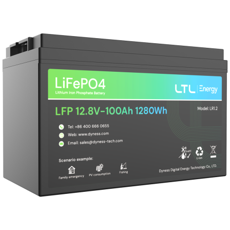 DY-AR-1200 - Batteria stazionaria - Capacità 1280Wh - LiFePO4 12V / 100Ah - 3000 cicli di vita - Fino a 16 unità in parallelo - 