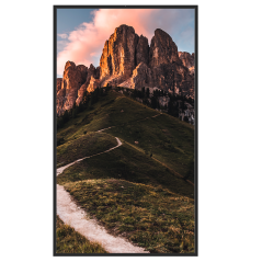 SF-49WF50-FHD - Monitor SAFIRE ad Alta Luminosità 49" - Valido per soluzioni Digital Signage - Risoluzione 1920x1080 - Luminosit