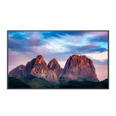 SF-65DS60 - Monitor SAFIRE ELED 65" 4K - Risoluzione 3840x2160 - Digital Signage individuale via USB - Digital Signage opzionale