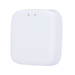 ZK-GTSLG200 - Connessione WiFi per serratura intelligente - Bluetooth | Controllo vocale - Apertura e chiusura da remoto dall'ap