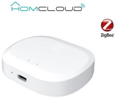 Centralina intelligente Hub - Zigbee+Bluetooth